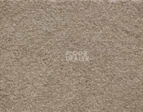 Ковролин Radici Lord Cardamomo 327E фото 1 | FLOORDEALER